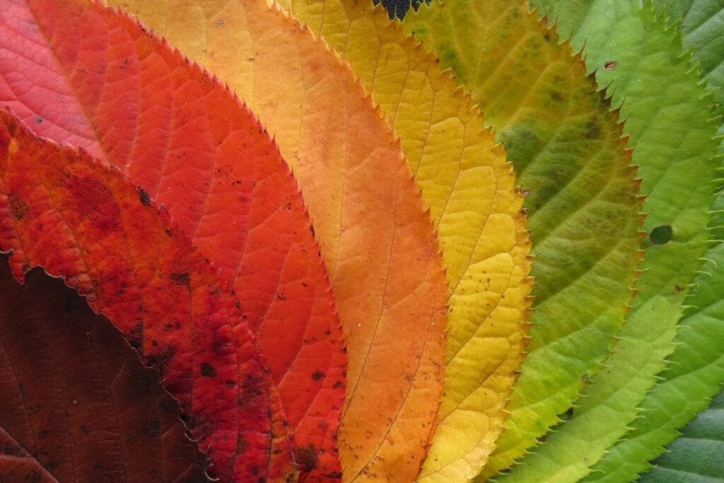 Como Escolher Paletas de Cores que Transformam e Ampliam Ambientes - Marcia Perry Interiors - 4